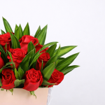 All My Heart – 21 Roses