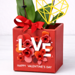 Valentine Snow Pearl Orchid